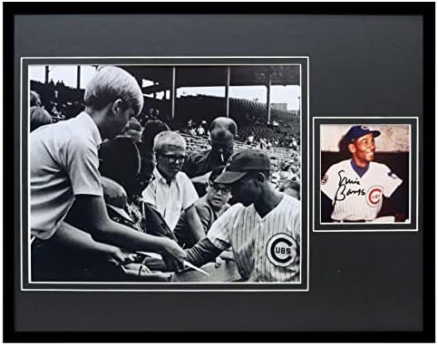 ארני בנקס חתום מסגר 11x14 תצוגת תמונות JSA Cubs - תמונות MLB עם חתימה