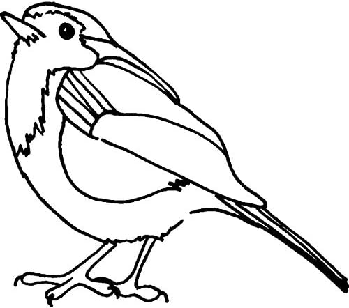 Azeeda A8 'Robin Redbreast Bird' חותמת גומי לא הושלמה