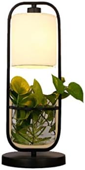 -מקום תאורה מנורת רצפת ברזל מנורת רצפת צמחים אחסון שולחן קפה יצירתי לימוד סלון פשוט חדר שינה חדר שינה סיני סגנון הידרופוני אופנה מעמד