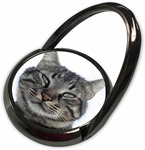 3 דרוז חום מקסים טאבי חתול דיוקן צילום - טבעות טלפון