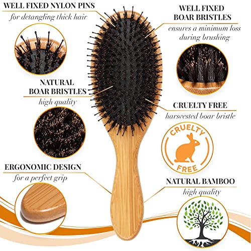 Belula Restore Shine, Texture and Health לסט השיער שלך . מברשת שיער זיפה חזיר. זיפים טבעיים רכים דקים, שיער עדין, ארוך ומתולתל.